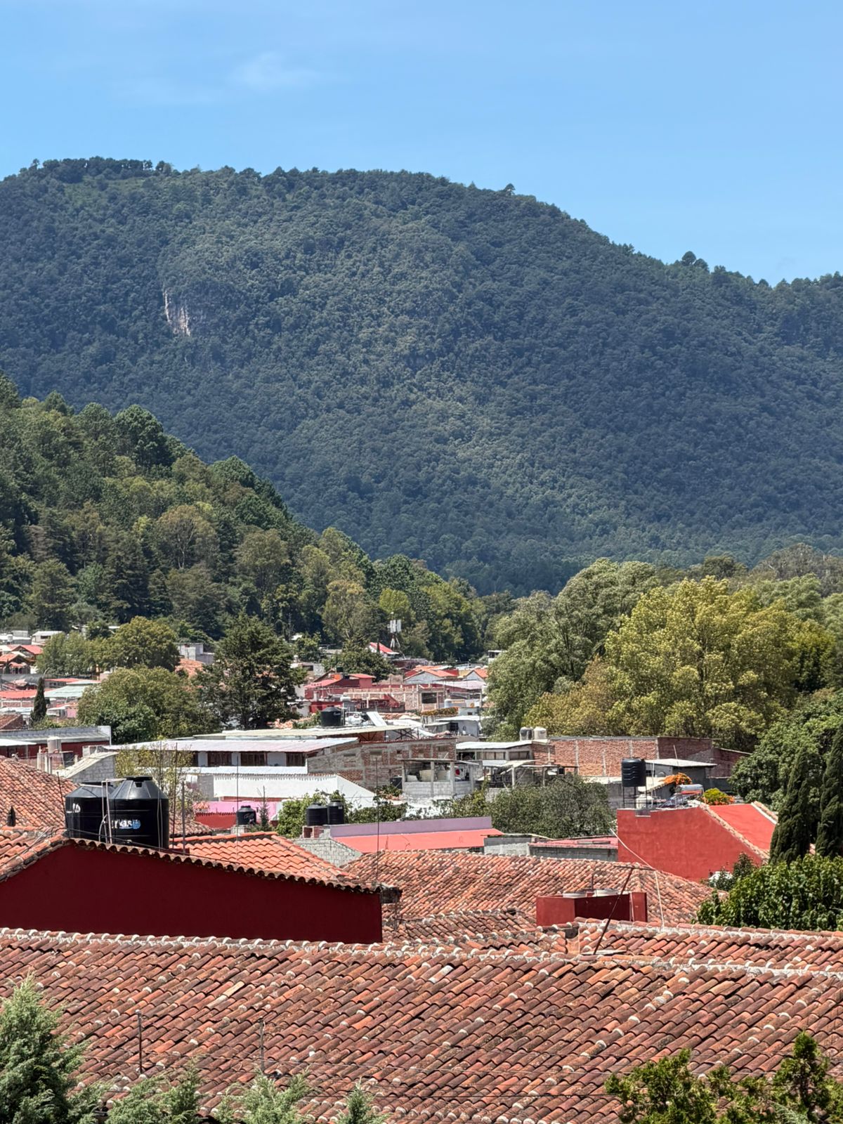 Red-tiled rooftops of San Cristóbal de las Casas beneath forested highlands